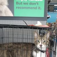 Pet Supplies Plus Katy East ico