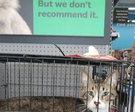 Pet Supplies Plus Katy East