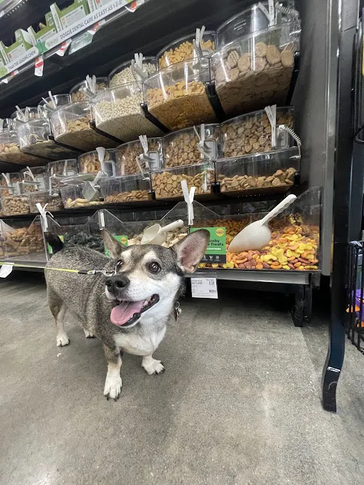 Pet Supplies Plus Katy East Picture 5