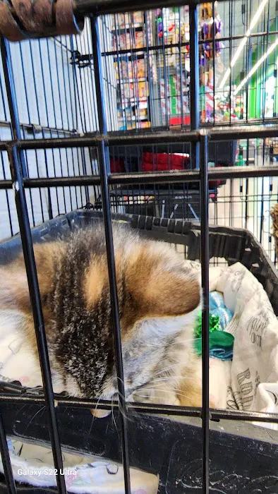 Pet Supplies Plus Katy East Picture 4