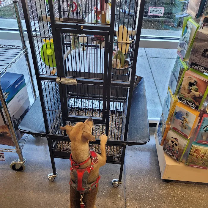 Pet Supplies Plus Katy East Picture 8