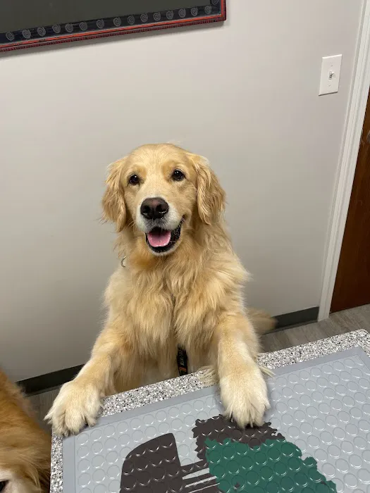 Clinton Veterinary Hospital Picture 6