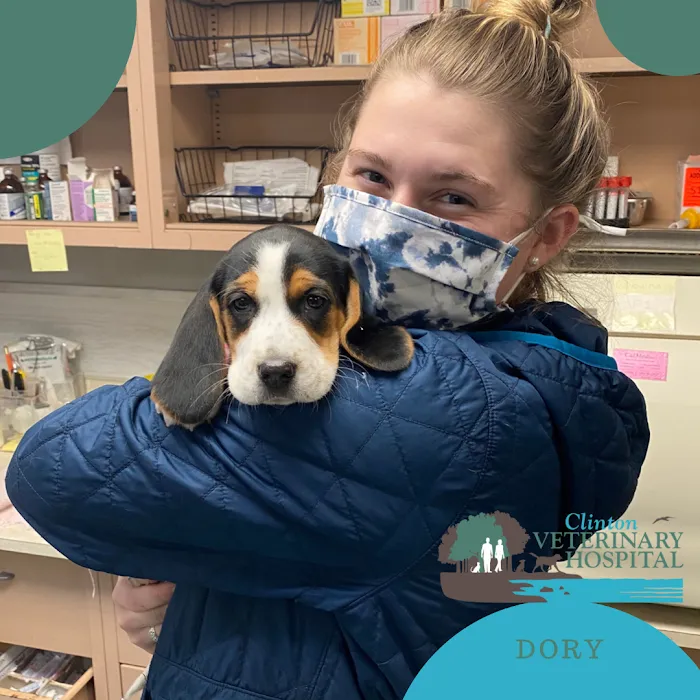 Clinton Veterinary Hospital Picture 8