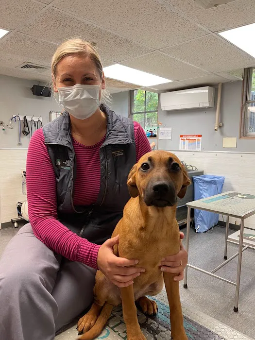 Clinton Veterinary Hospital Picture 4