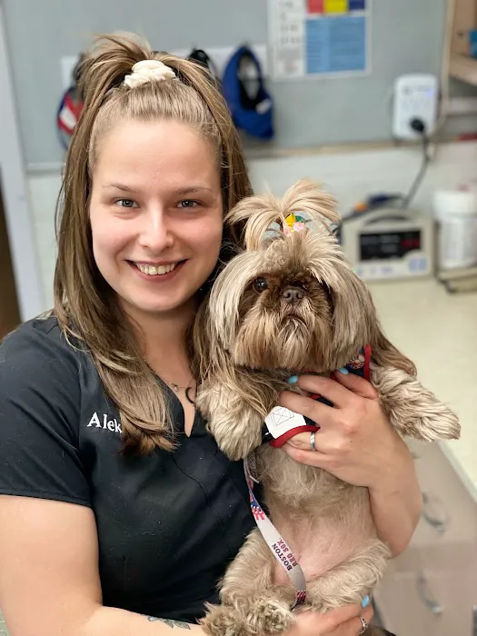 Clinton Veterinary Hospital Picture 2