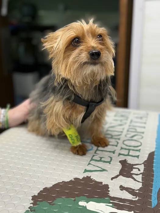 Clinton Veterinary Hospital Picture 1