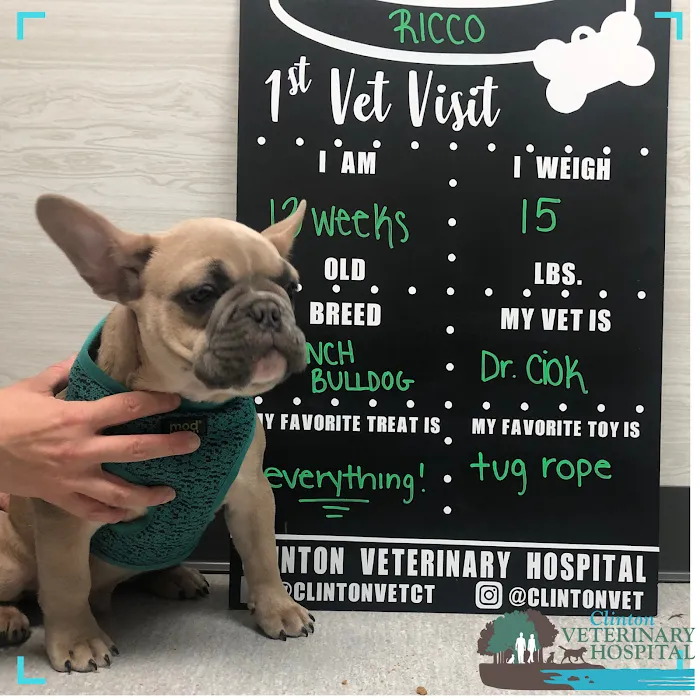 Clinton Veterinary Hospital Picture 9