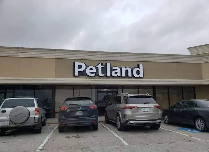 Petland Katy Picture 1