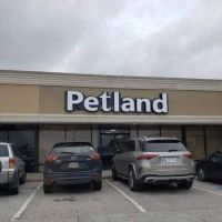 Petland Katy ico