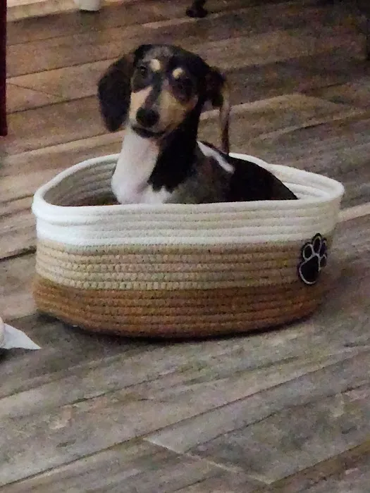 Petland Katy Picture 2