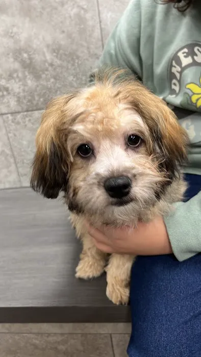 Petland Katy Picture 4