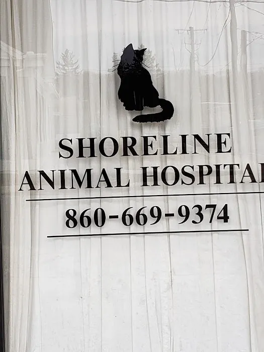 Shoreline Animal Hospital Picture 5