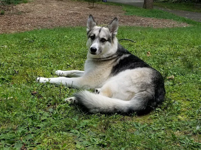 Shoreline Animal Hospital Picture 7