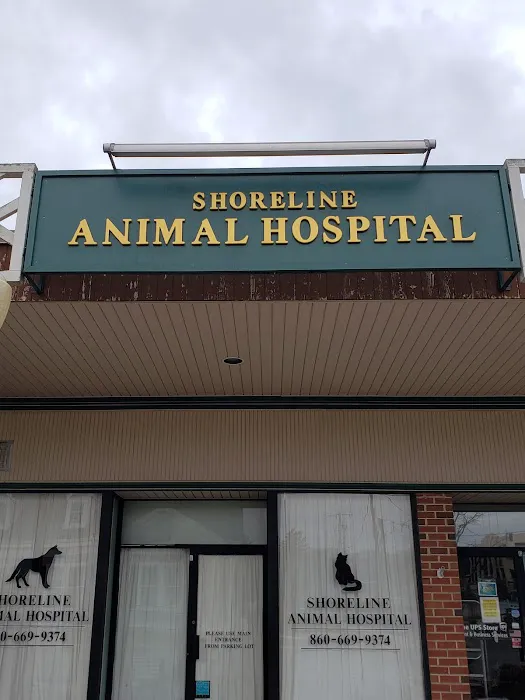 Shoreline Animal Hospital Picture 10
