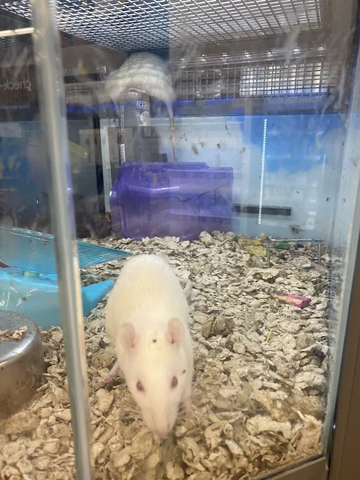 Petco Picture 8