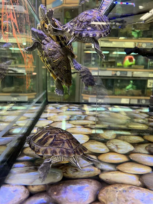 Petco Picture 5
