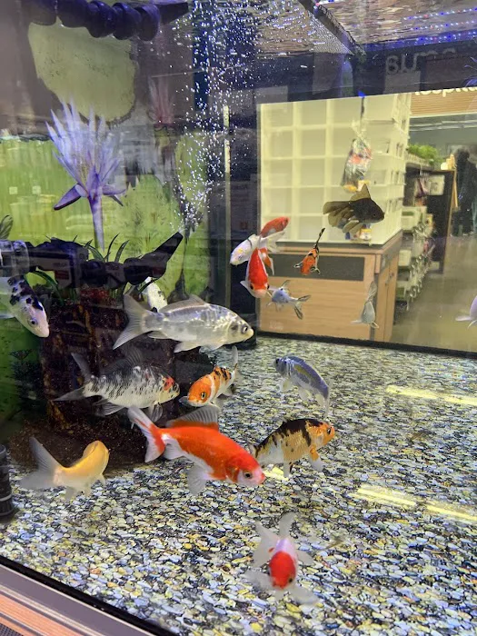 Petco Picture 2