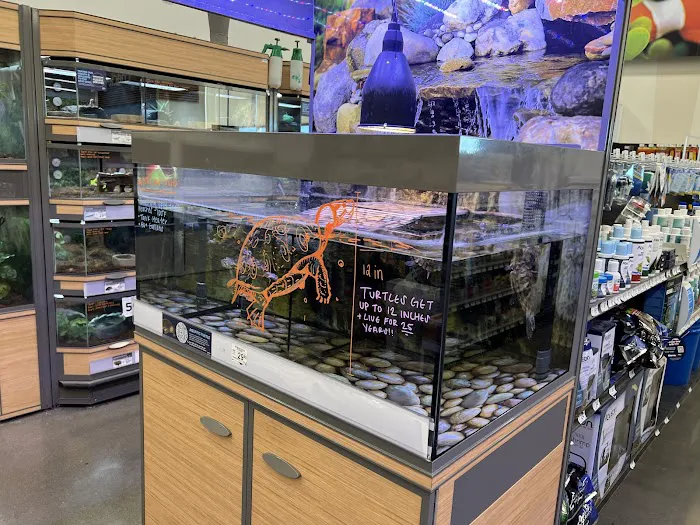 Petco Picture 3