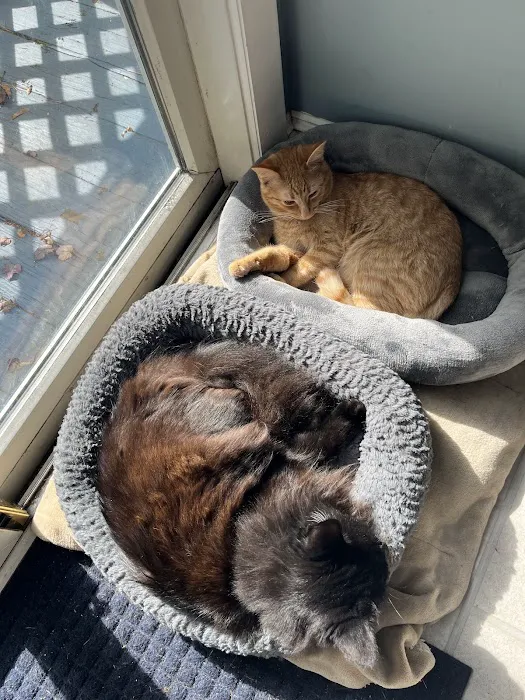 Team Tait's Every Animal Matters Picture 8
