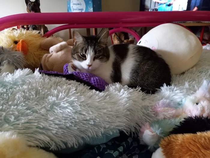 Team Tait's Every Animal Matters Picture 7