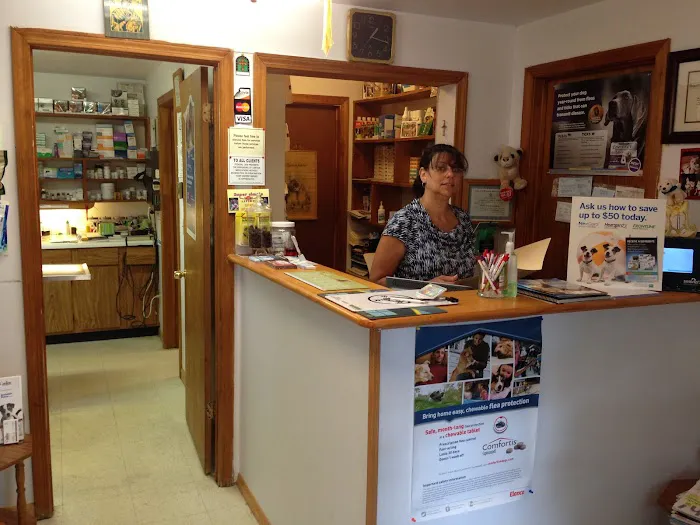 Hammonasset Animal Clinic Picture 9