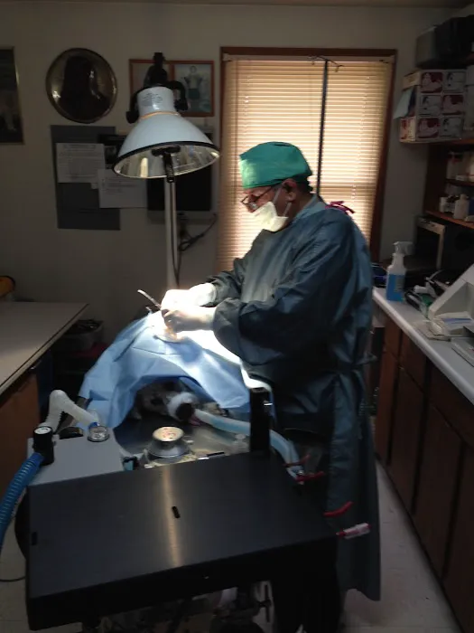 Hammonasset Animal Clinic Picture 1