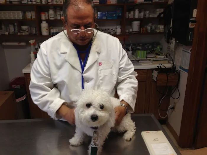 Hammonasset Animal Clinic Picture 5