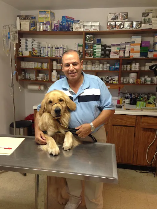 Hammonasset Animal Clinic Picture 6