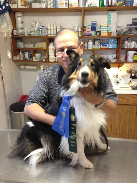 Hammonasset Animal Clinic Picture 7