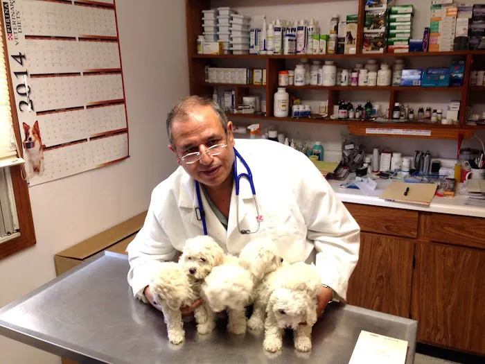 Hammonasset Animal Clinic Picture 2