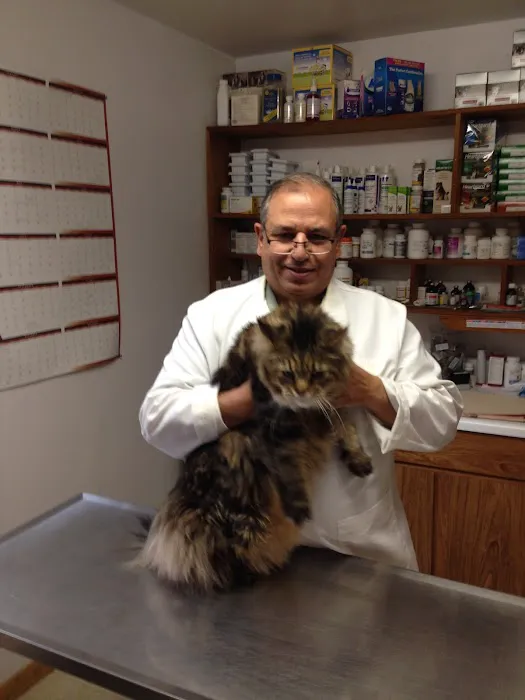Hammonasset Animal Clinic Picture 3