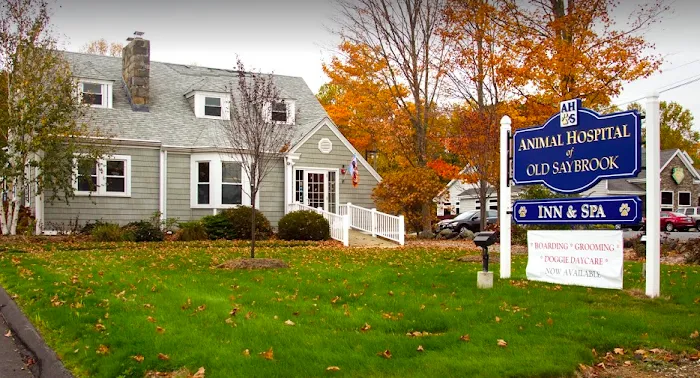 Animal Hospital of Old Saybrook Picture 10