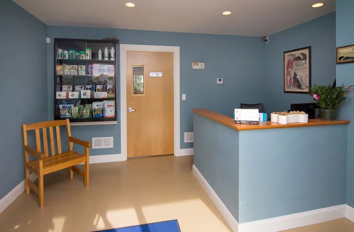 Animal Hospital of Old Saybrook Picture 3