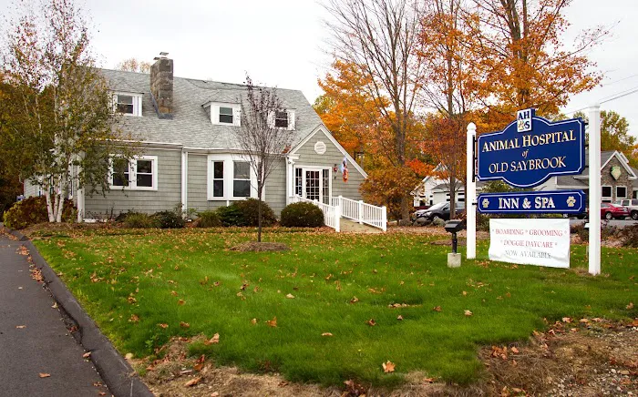 Animal Hospital of Old Saybrook Picture 5