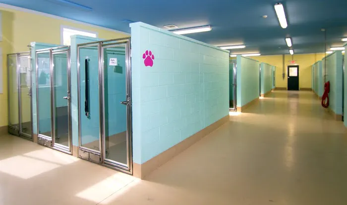 Animal Hospital of Old Saybrook Picture 1