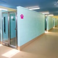 Animal Hospital of Old Saybrook ico