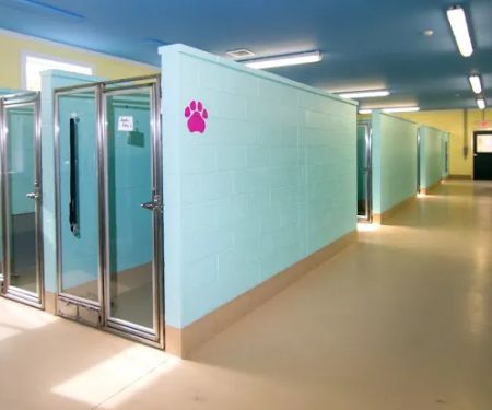 Animal Hospital of Old Saybrook