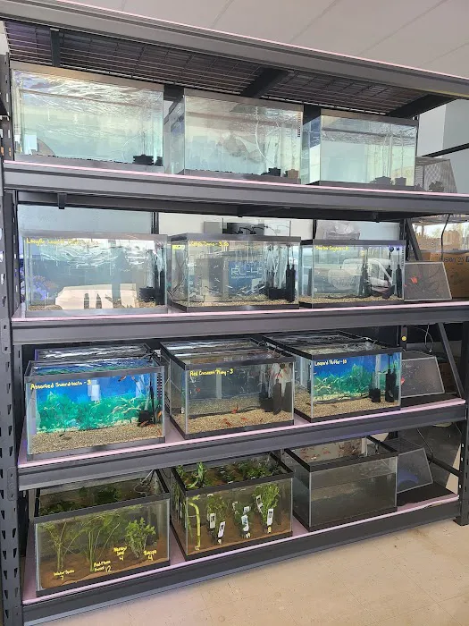 Cinco Ranch Aquariums Picture 7