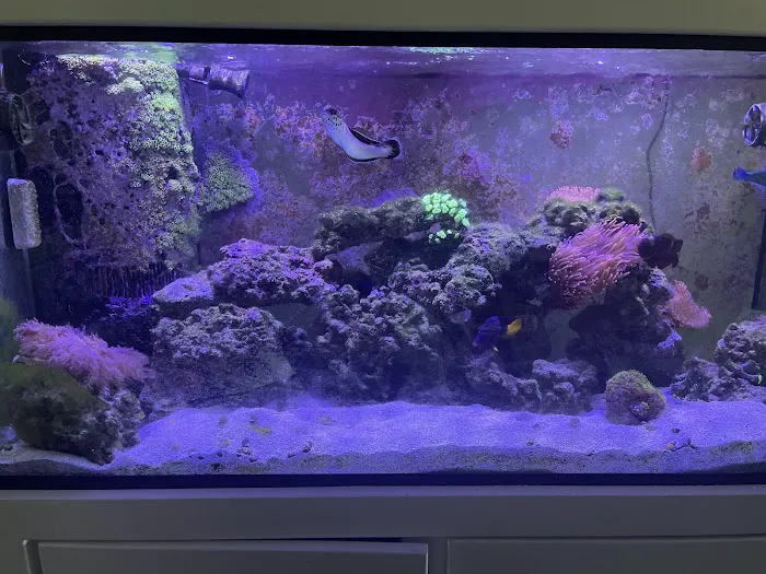 Cinco Ranch Aquariums Picture 8