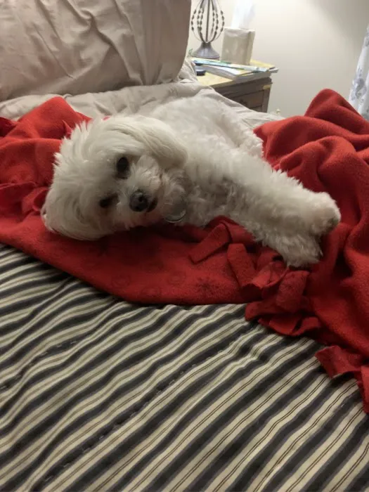 Petco Picture 8