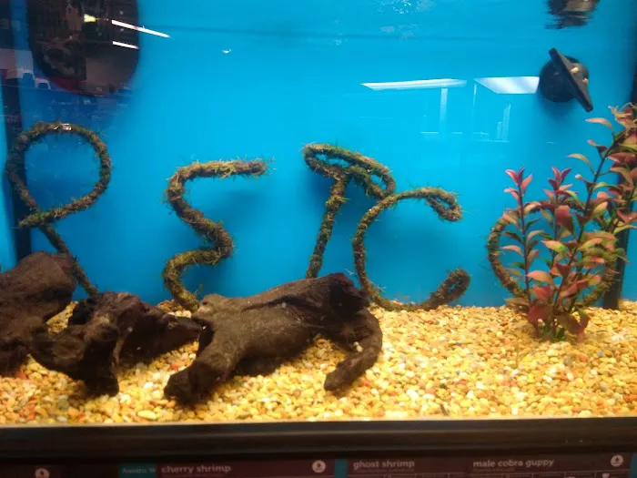 Petco Picture 3
