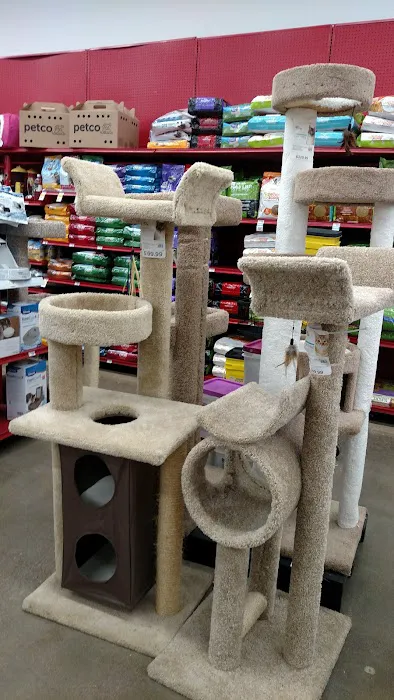 Petco Picture 4