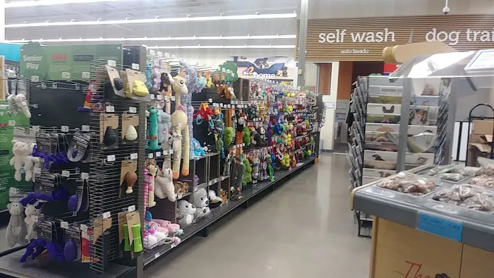 Petco Picture 9