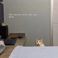 Freshwater Veterinary Hospital ico