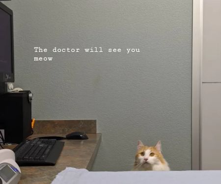 Freshwater Veterinary Hospital