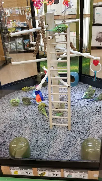 Petco Picture 4