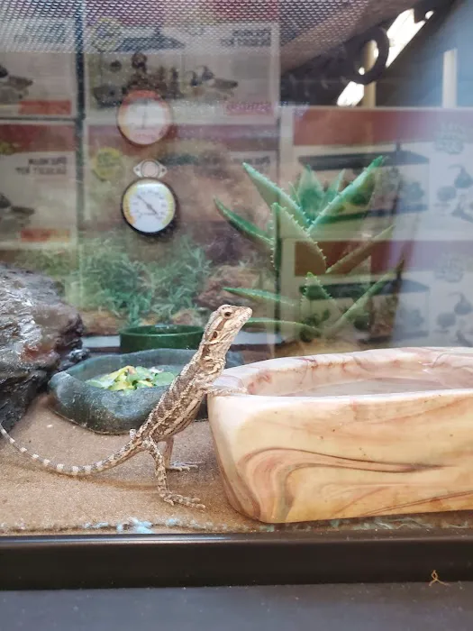 Petco Picture 7