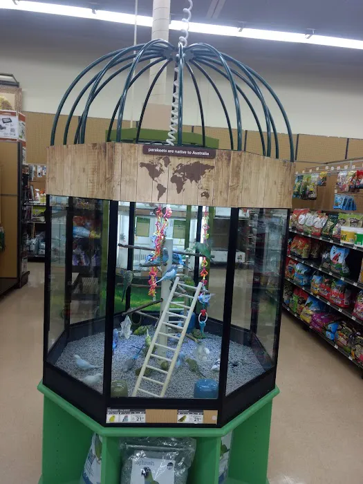 Petco Picture 5