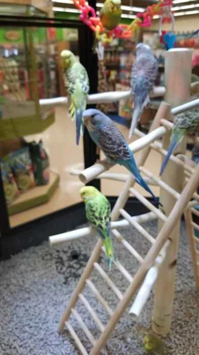 Petco Picture 3