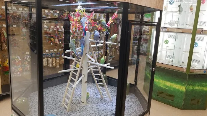 Petco Picture 2